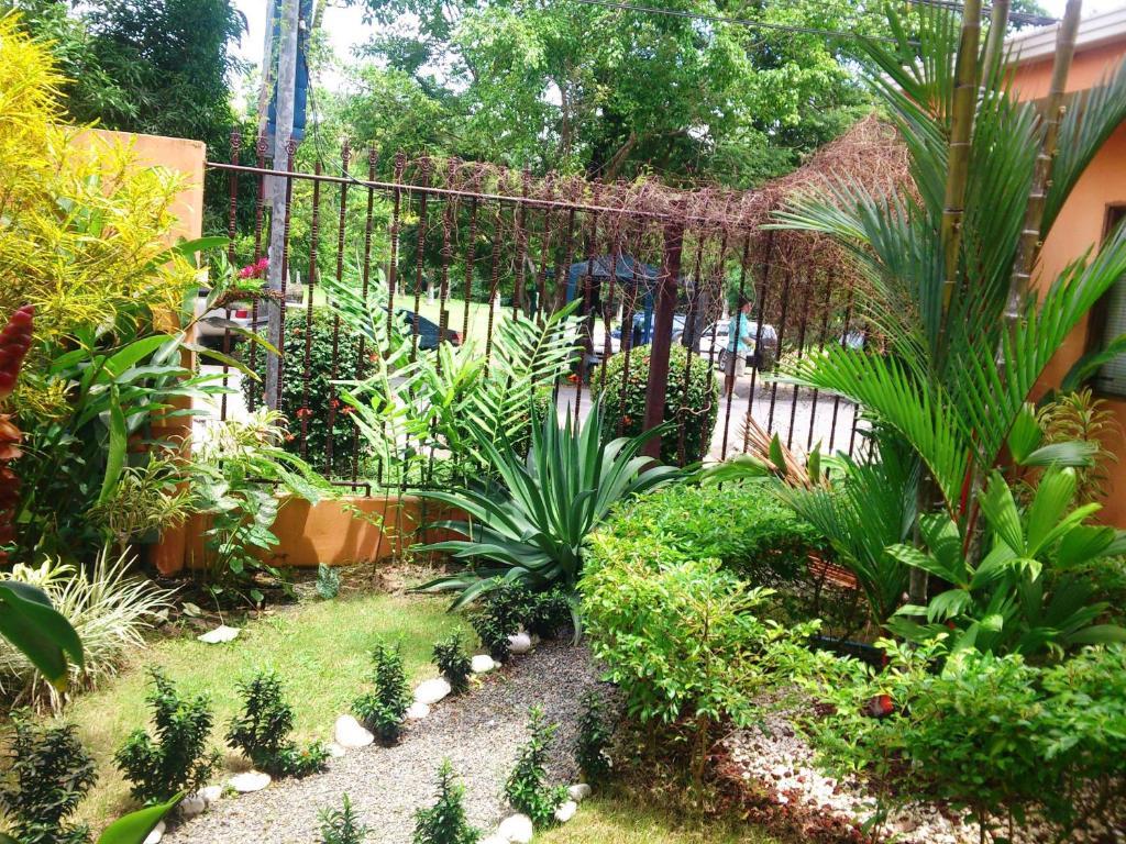 Inn On The Park Nationalpark Nationalpark Manuel Antonio Exterior foto