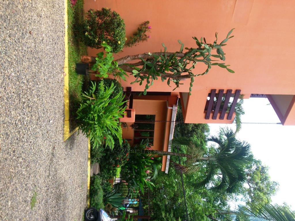 Inn On The Park Nationalpark Nationalpark Manuel Antonio Exterior foto