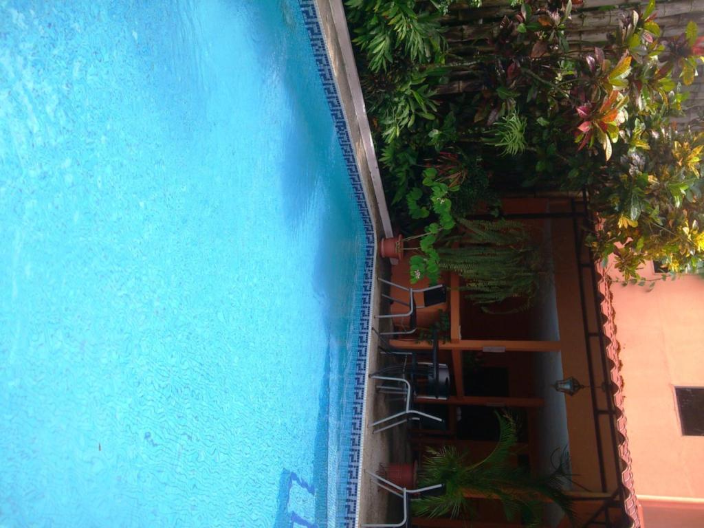 Inn On The Park Nationalpark Nationalpark Manuel Antonio Exterior foto
